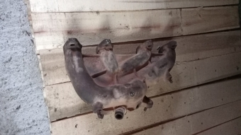 Audi A3 1.6 çıkma egzoz manifold