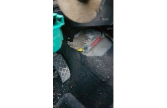 Volkswagen Golf 4 Airbag Beyni